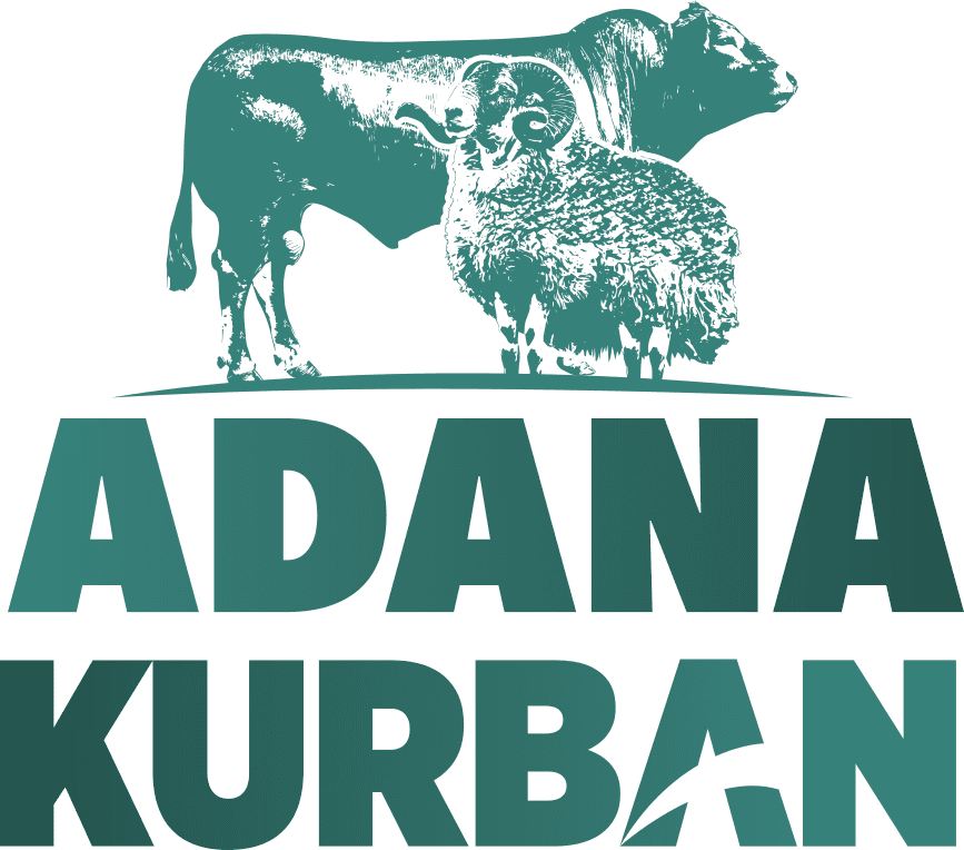 Adana Kurban