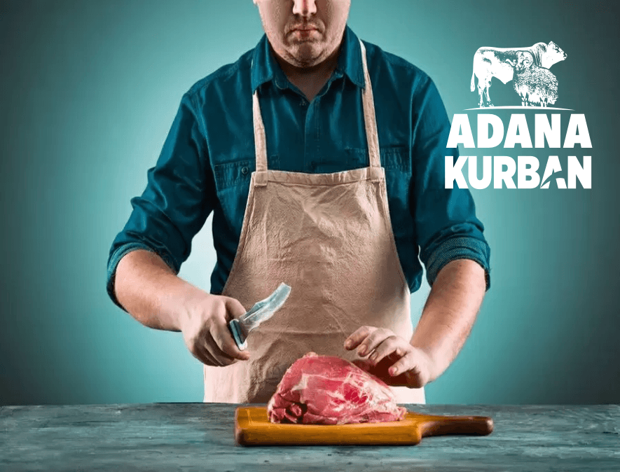 Profesyonel Kasaplık