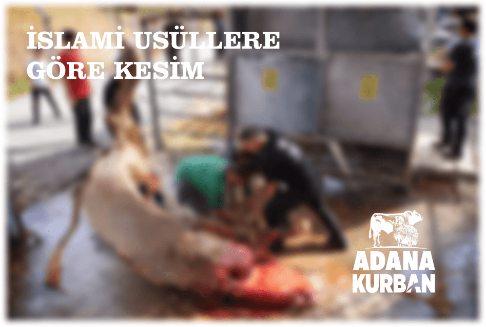 İslami Usul Kesim